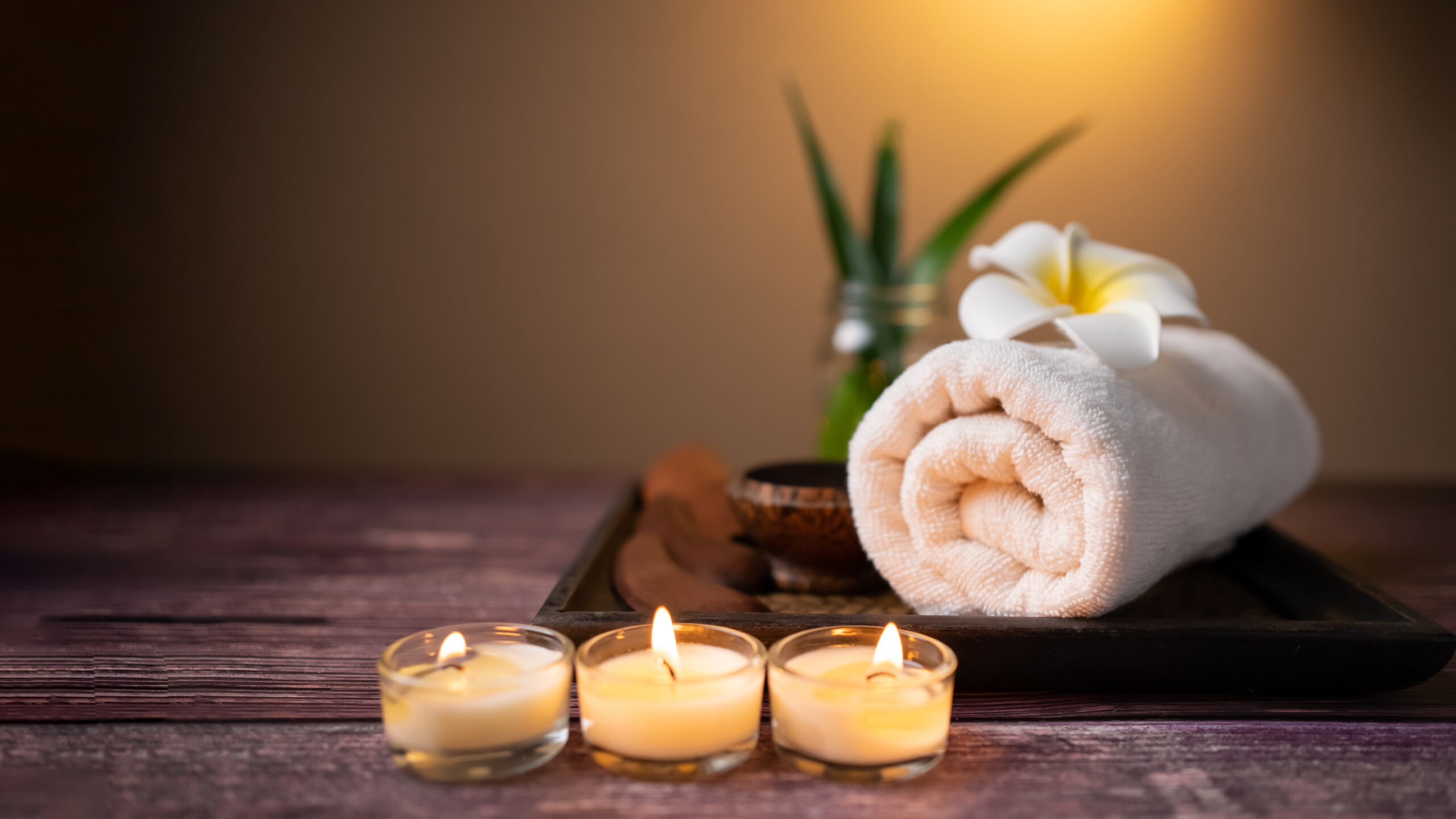 Transform Your Grooming Appointment into a Relaxed Retreat: An Insider’s Guide